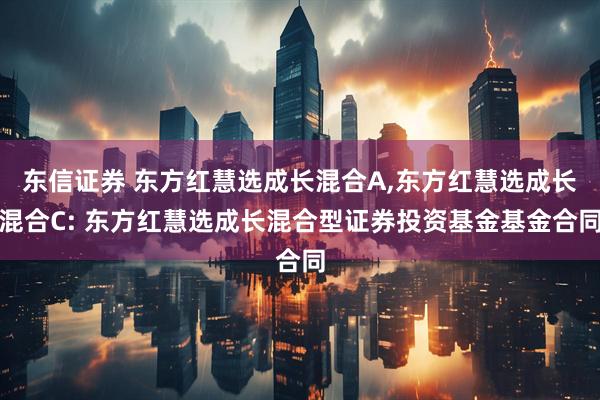 东信证券 东方红慧选成长混合A,东方红慧选成长混合C: 东方红慧选成长混合型证券投资基金基金合同