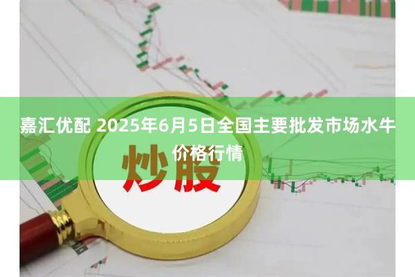 嘉汇优配 2025年6月5日全国主要批发市场水牛价格行情