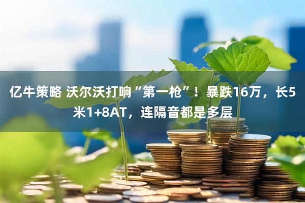 亿牛策略 沃尔沃打响“第一枪”！暴跌16万，长5米1+8AT，连隔音都是多层