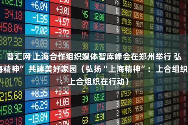 普汇网 上海合作组织媒体智库峰会在郑州举行 弘扬“上海精神” 共建美好家园（弘扬“上海精神”：上合组织在行动）