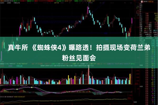 真牛所 《蜘蛛侠4》曝路透！拍摄现场变荷兰弟粉丝见面会