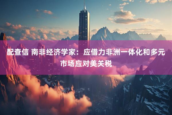 配查信 南非经济学家：应借力非洲一体化和多元市场应对美关税