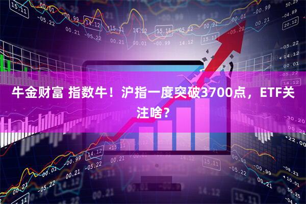 牛金财富 指数牛！沪指一度突破3700点，ETF关注啥？
