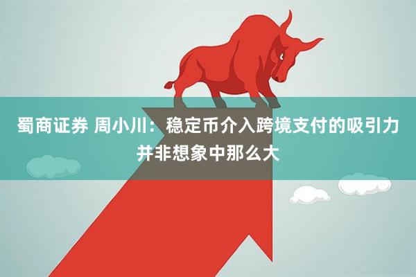 蜀商证券 周小川：稳定币介入跨境支付的吸引力并非想象中那么大