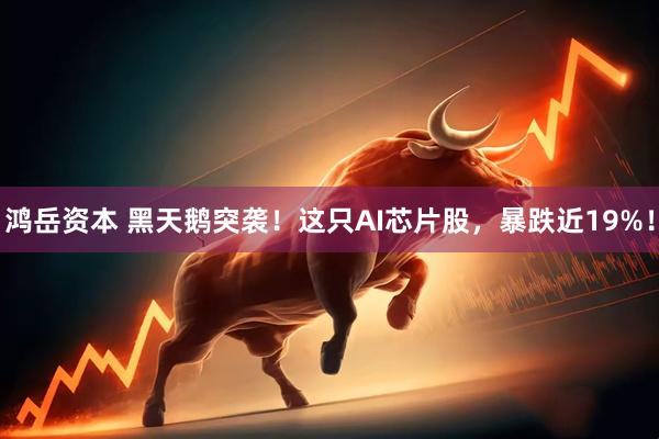 鸿岳资本 黑天鹅突袭！这只AI芯片股，暴跌近19%！
