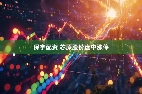 保宇配资 芯原股份盘中涨停