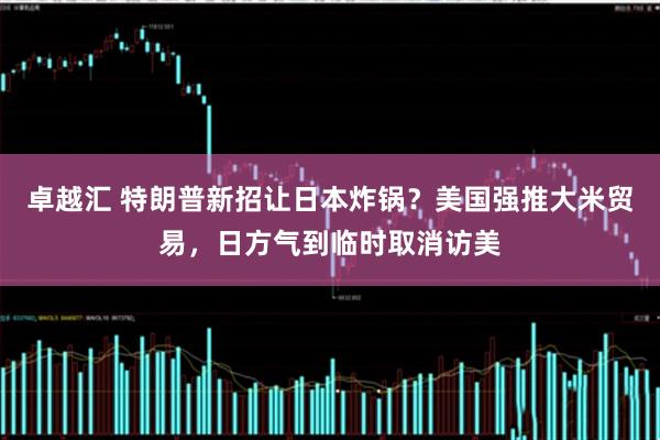 卓越汇 特朗普新招让日本炸锅？美国强推大米贸易，日方气到临时取消访美